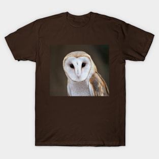 Barn Owl T-Shirt